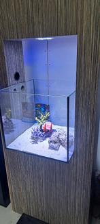Uniek custom aquarium, Ophalen, Zo goed als nieuw, Leeg aquarium