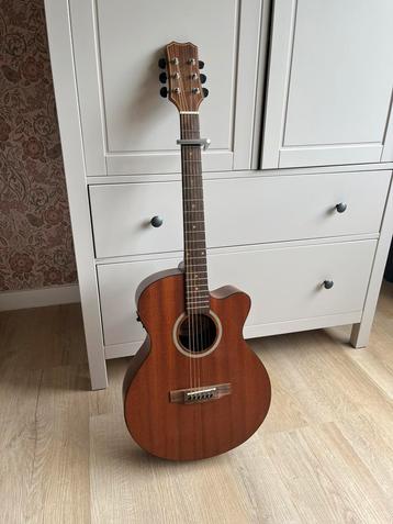 James Neligan DEV-AFCI akoestische gitaar beschikbaar voor biedingen