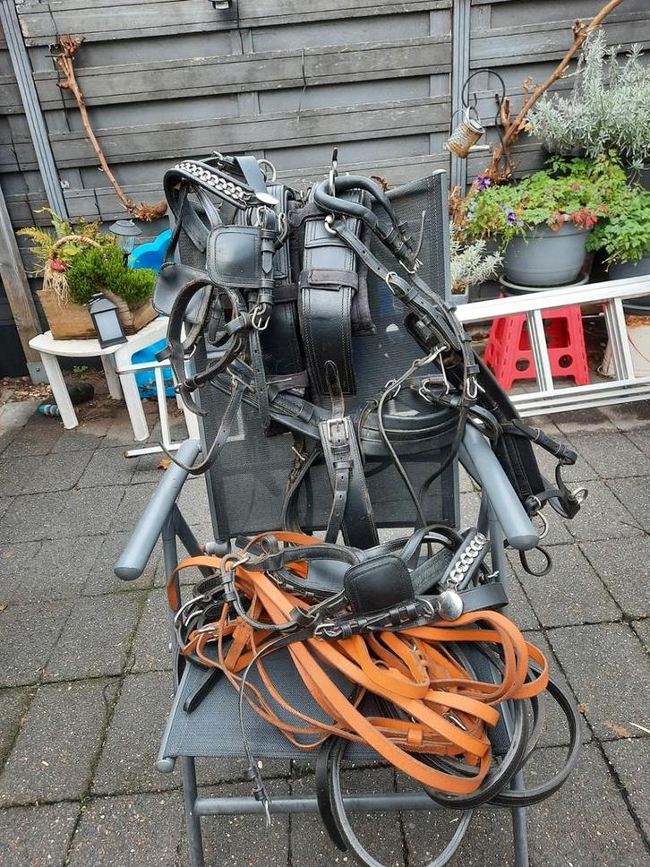 2 span mentuig voor shetlanders, Dieren en Toebehoren, Paarden en Pony's | Hoofdstellen en Tuigage, Zo goed als nieuw, Overige soorten