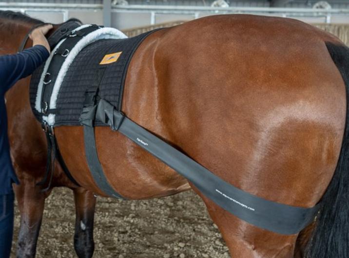 Equiband dekje, Dieren en Toebehoren, Paarden en Pony's | Dekens en Dekjes, Gebruikt, Dekje, Ophalen of Verzenden