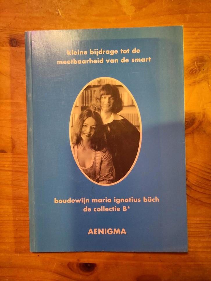 Boudewijn Buch: Zeldzame boeken - Set of los te koop, Boeken, Literatuur, Gelezen, Nederland, Ophalen of Verzenden
