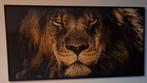 Leeuw schilderij! Kwalitatief frame op maat + ophangsysteem!, Ophalen of Verzenden, Zo goed als nieuw, Schilderij, 75 cm of meer