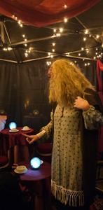 Trelawney kostuum L harry Potter, Kleding | Dames, Ophalen of Verzenden, Zo goed als nieuw, Maat 42/44 (L)