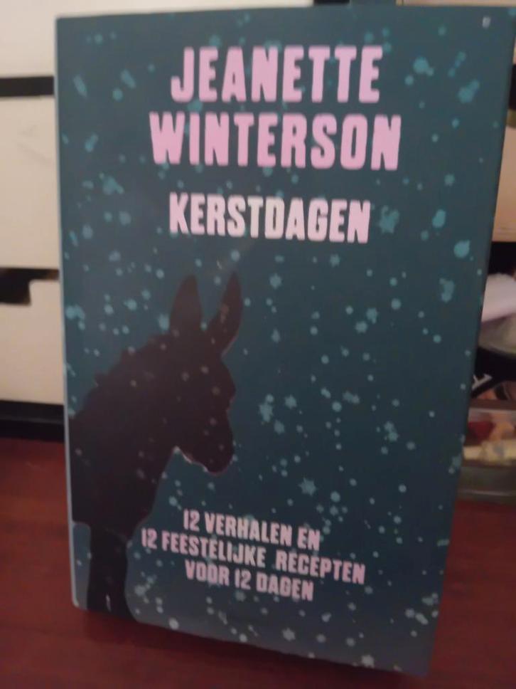 Jeanette Winterson - Kerstdagen, Boeken, Overige Boeken, Zo goed als nieuw, Verzenden