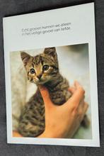 Leuk poesje met gedicht, Verzenden, 1980 tot heden, Ongelopen, Hond of Kat