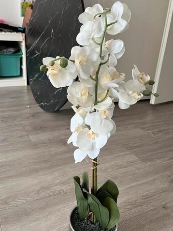 Kunstplant Orchidee (nieuwstaat) beschikbaar voor biedingen