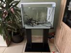 Superfish home 65, Dieren en Toebehoren, Ophalen, Leeg aquarium