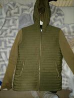 Ashes Jas - Goede Staat!, Overige maten, Ophalen of Verzenden, Zo goed als nieuw, Ashes