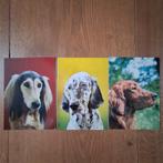 3 x honden ansichtkaart nieuw, Ophalen of Verzenden, 1980 tot heden, Ongelopen, Overige thema's