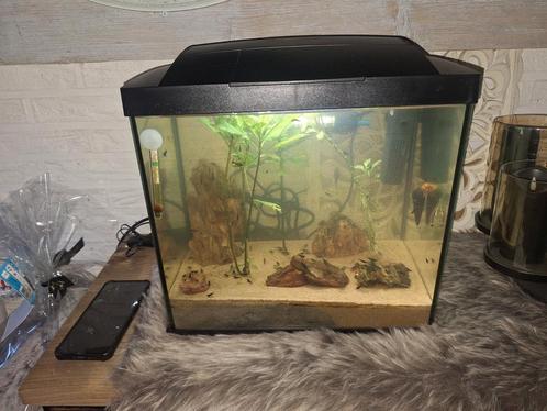 Jewel aquarium inclusief inhoud, Dieren en Toebehoren, Vissen | Aquaria en Toebehoren, Zo goed als nieuw, Overige typen, Ophalen