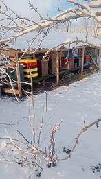 Gezocht bijen stand plaats, Dieren en Toebehoren