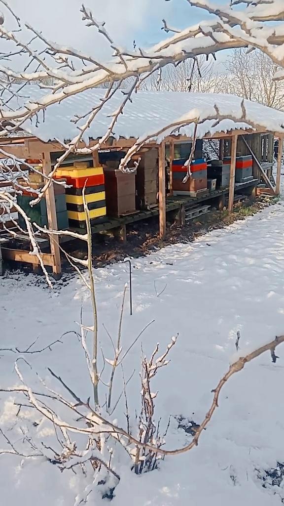 Gezocht bijen stand plaats, Dieren en Toebehoren, Stalling en Weidegang