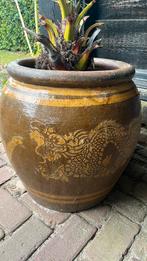 Drakenpot, Tuin en Terras, Bloempotten, Ophalen, Zo goed als nieuw, Rond, 40 cm of meer
