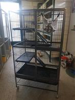 Prachtige ratten/fretten kooi, Dieren en Toebehoren, Ophalen, Kooi, Zo goed als nieuw, 90 cm of meer