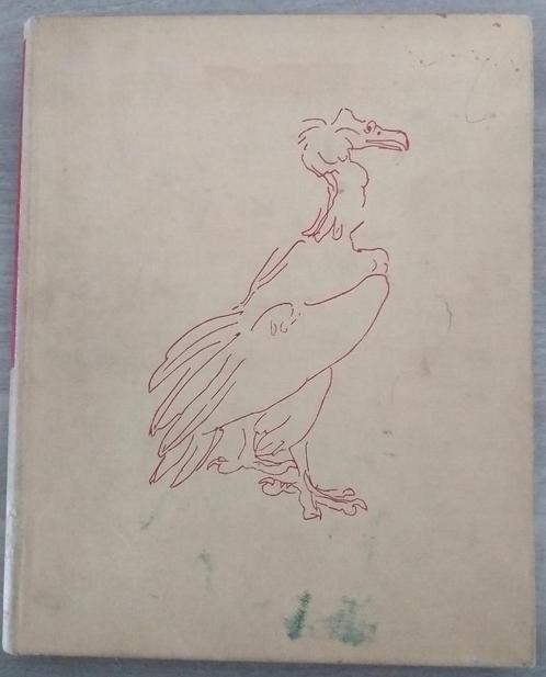 Gaudier Brzeska Drawings. Beeldende kunst. 1e druk. English., Boeken, Kunst en Cultuur | Beeldend, Gelezen, Schilder- en Tekenkunst