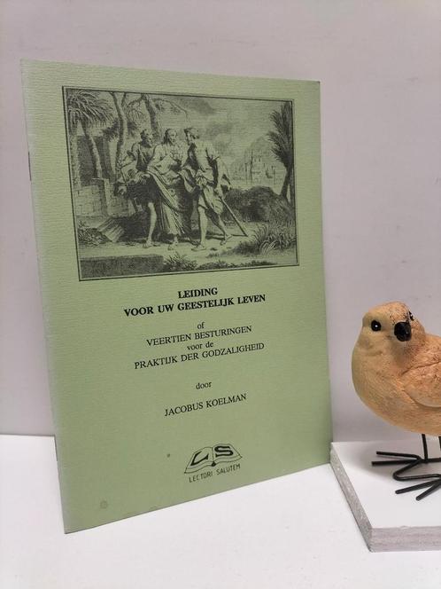 Koelman, Jacobus; Leiding voor uw geestelijk leven, Boeken, Godsdienst en Theologie, Gelezen, Christendom | Protestants, Ophalen of Verzenden