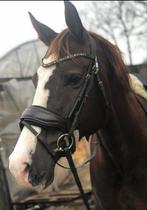Bruin Bridle2fit hoofdstel, Dieren en Toebehoren, Ophalen