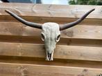 Geboetseerde longhorn koeienschedel, Ophalen, Beeldje of Figuurtje