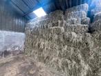 Topkwaliteit Hooi, Dieren en Toebehoren, Ophalen, Vee