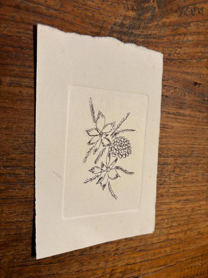 Afdruk 2 soorten bloemen op dikker papier., Antiek en Kunst, Kunst | Etsen en Gravures, Ophalen of Verzenden