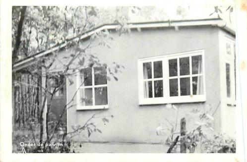 (388-467-013) Doorn Bonte Vlucht, Verzamelen, Ansichtkaarten | Nederland, Utrecht, Verzenden