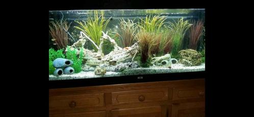 Aquarium nep planten, gras, Dieren en Toebehoren, Vissen | Aquaria en Toebehoren, Nieuw, Plant(en), Steen of Hout, Ophalen of Verzenden