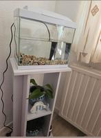 Aquarium met aquarium tafel, Ophalen, Leeg aquarium