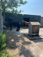 Kleinschalige staling mogelijkheid 24/7 buiten, Stalling