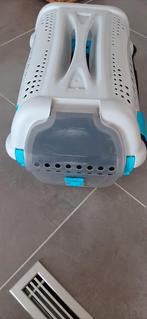 Reismand katten, Dieren en Toebehoren, Ophalen, Zo goed als nieuw