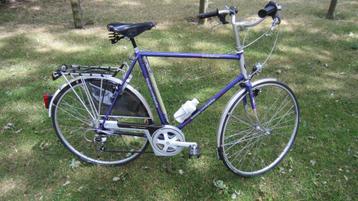 KOGA MIYATA RoadGentleman purple-metallic mt. 60 nieuwstaat beschikbaar voor biedingen