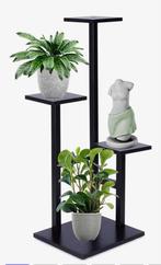 Plantenstandaard 4 Niveaus, Overige soorten, In pot, Minder dan 100 cm, Groene kamerplant