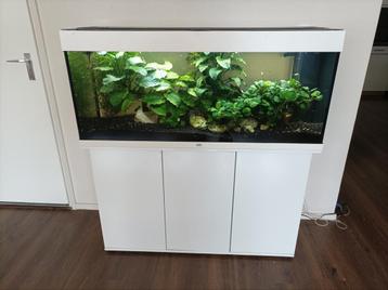 Aquarium Rio 240 LED (121x41x55) + SBX Rio 240 kast - Juwel