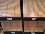 reiskooitje transport box showkooi, Ophalen of Verzenden, Gebruikt