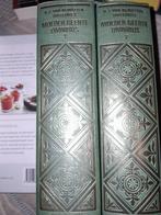 Moeder Geerte Omnibus 1 & 2. H.J. van Nijnatten - Doffegnies, Boeken, Ophalen of Verzenden, Zo goed als nieuw, Nederland