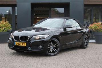 BMW 2 Serie 218i 218i Centennial High Executive (bj 2016) beschikbaar voor biedingen