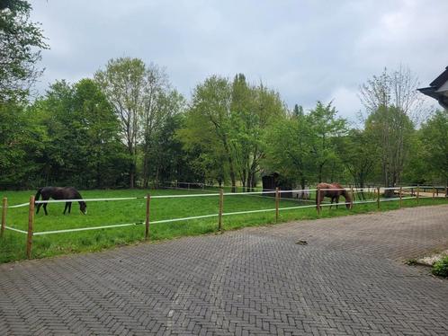 Pensionplek aangeboden, Dieren en Toebehoren, Stalling en Weidegang, Stalling, Weidegang
