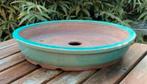Bonsai schaal XXL groen geglazuurd Koreaans aardewerk 57,5, Tuin en Terras, Bloempotten, Ophalen, 40 cm of meer, Rond, Nieuw