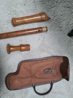 Aura blokfluit met etui, Ophalen of Verzenden, Gebruikt, Alt, Met koffer, hoes of etui