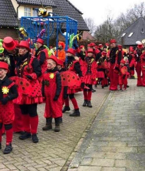 Grote loopgroep thema lieveheersbeestjes carnaval, Kleding | Dames, Carnavalskleding en Feestkleding, Nieuw, Maat 38/40 (M), Ophalen of Verzenden