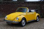 Volkswagen Beetle 1303 Cabriolet An eye-catching colour sche, Zwart, Overige kleuren, Cabriolet, Volkswagen