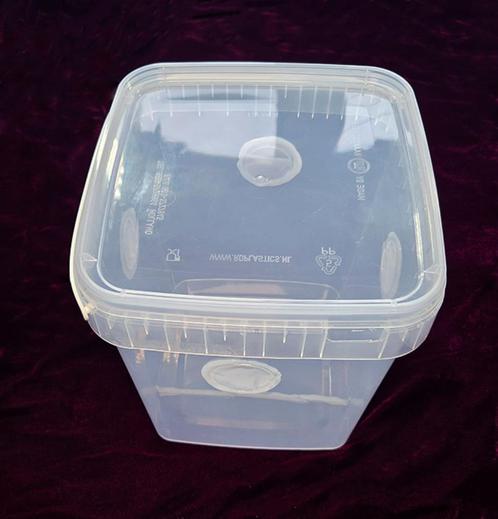 ontsnappingsbestendig isopodarium 10 L (gebruikt), Dieren en Toebehoren, Reptielen en Amfibieën | Toebehoren, Gebruikt, Terrarium of Paludarium
