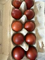 Marans broedeieren, Ophalen of Verzenden, Zo goed als nieuw, Overige typen