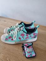 Adidas x AriZona Iced Tea Superstar (2021) maat 47 1/3 NIEUW, Ophalen of Verzenden, Nieuw, Wit