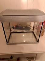 Aquarium, Dieren en Toebehoren, Vissen | Aquaria en Toebehoren, Ophalen of Verzenden, Gebruikt, Leeg aquarium