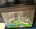 Aquarium complete set, Dieren en Toebehoren, Vissen | Aquaria en Toebehoren, Ophalen, Zo goed als nieuw, Leeg aquarium