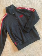 Adidas Ajax vest, Ophalen, Maat 48/50 (M), Zwart, Zo goed als nieuw