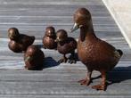 5 bronzen eendjes / bronzen beeld / nieuw / eend / kuiken, Dierenbeeld, Nieuw, Info@huisentuindecoratiemarie.nl, Huis en tuin decoratie marie