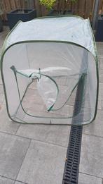 Kleine plastic kas, Tuin en Terras, Kassen, Ophalen, Glas, Gebruikt