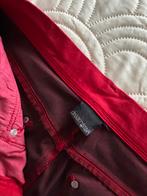 Dreamstar broek maat 38 - Nieuw!, Kleding | Dames, Broeken en Pantalons, Ophalen of Verzenden, Nieuw, Maat 38/40 (M), Rood