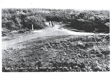 958033	Bakkum	Castricum	NH 1967 Holl Duinreservaat	Gelopen m beschikbaar voor biedingen